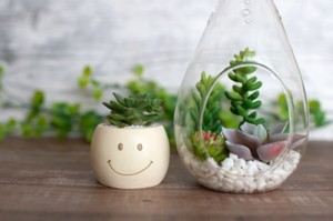 家庭用の脱毛器